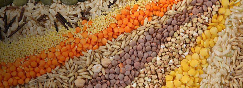 Agriculture Seed